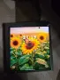 Samsung Galaxy Z Fold 7 , снимка 1