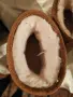 Детски боти EMU Australia Wallaby Mini , снимка 12