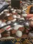 Карбонови рамки за очила Ray Ban, снимка 3