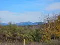 парцел 3 декара с. Къпиново, снимка 7
