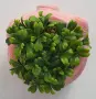 Мини саксия "Прасенце" с изкуствена трева , снимка 2