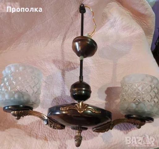 Меден полилей, състоянието му е мн.добро