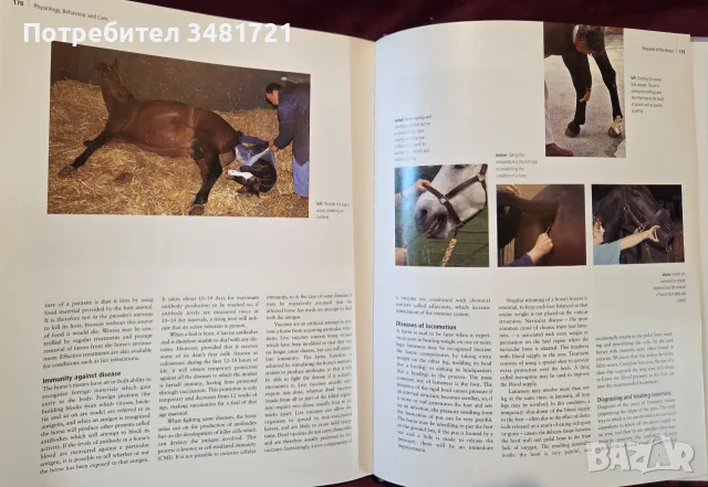 Encyclopedia of the Horse, снимка 17 - Други - 56715711