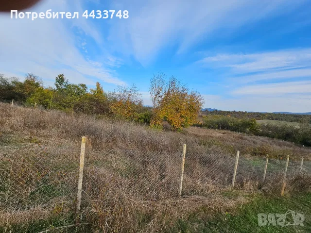 парцел 3 декара с. Къпиново, снимка 2 - Парцели - 56692112