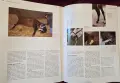 Encyclopedia of the Horse, снимка 17