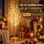 Декоративна дръвче, снимка 4