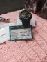 Мъжки часовник Casio g shock , снимка 3