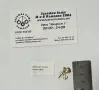 Златна висулка 0.96гр., снимка 3