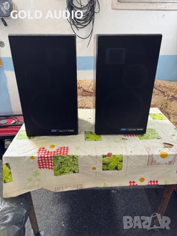 Pioneer S-310 тонколони