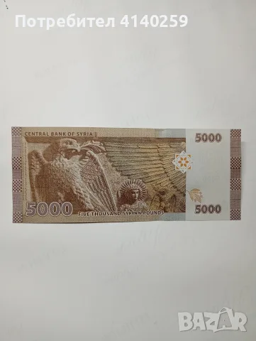 СИРИЯ БАНКНОТА 5000 ПАУНДА , снимка 3 - Нумизматика и бонистика - 56700229