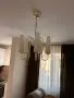 Полилей с пет чашки , снимка 1