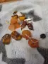 кехлибар. брошка. копчета от кехлибар.amber., снимка 1