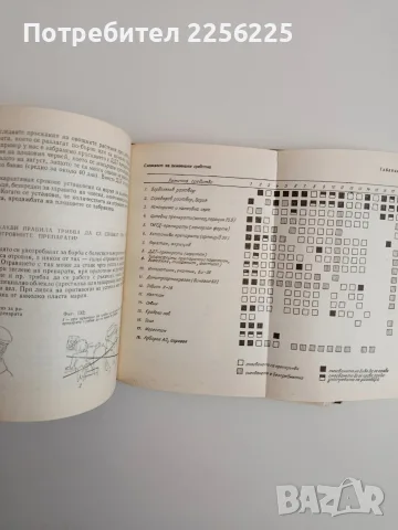 700 Съвета за любителя овощар 1969г, снимка 8 - Специализирана литература - 56680471