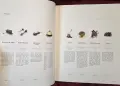 Leonardo's Machines. Secrets and Inventions in the Da Vinci Codices, снимка 11
