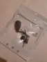 Дръжки за риболовни макари , снимка 3