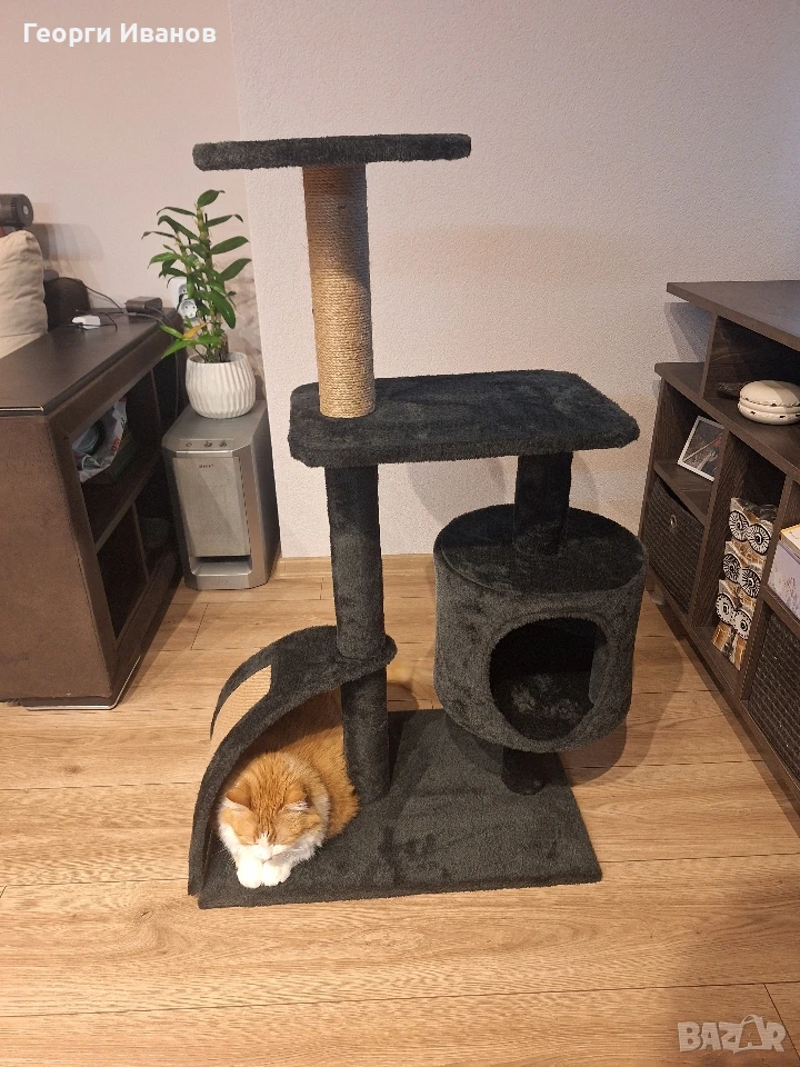 Катерушка за котка, снимка 1