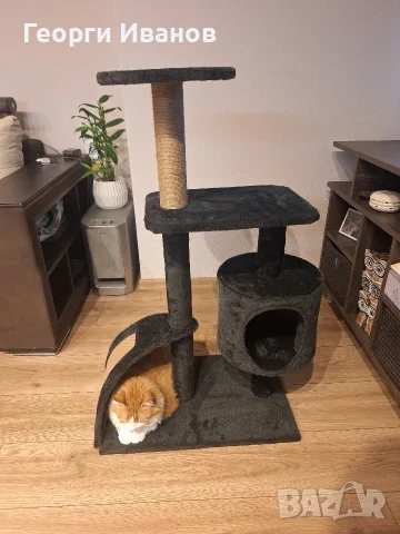 Катерушка за котка