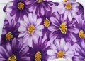 Нови тънки / летни одеяла-  4.5€ / бр, снимка 3