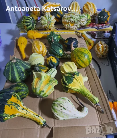 Продавам кратунки микс