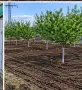 Продавам парцел в Слънчева лъка Айтос , снимка 5