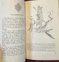 Folk Tales of Tibet, снимка 4