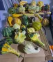Продавам кратунки микс, снимка 1
