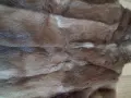 Дамски кожух от водна видра, снимка 5