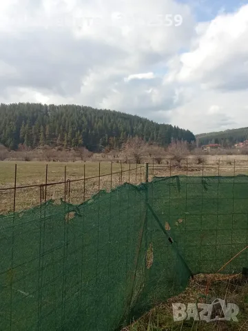дървена къща на кокили, снимка 2 - Къщи - 56667518
