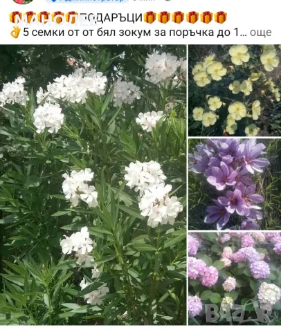 🎁🎁🎁🎁🎁ПОДАРЪЦИ🎁🎁🎁🎁🎁🎁