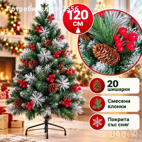 елха със шишарки 