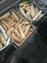 продавам бяла царевица , снимка 3