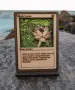 3D Дървена Карта Black Lotus (Magic: The Gathering / MTG), снимка 2