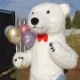 Големи маскот костюми, снимка 4