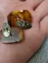 кехлибар. брошка. копчета от кехлибар.amber., снимка 6