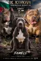 Американско були Хл American bully Xl , снимка 2