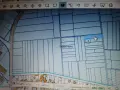 Продавам лозе в с.Кранево, снимка 2