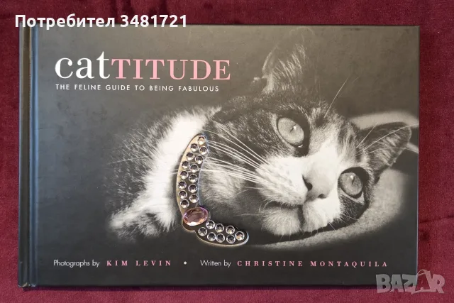 Cattitude Box Set, снимка 3 - Други - 56715704