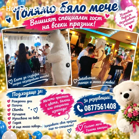 🐻💖 Голяма бяла мечка изненада