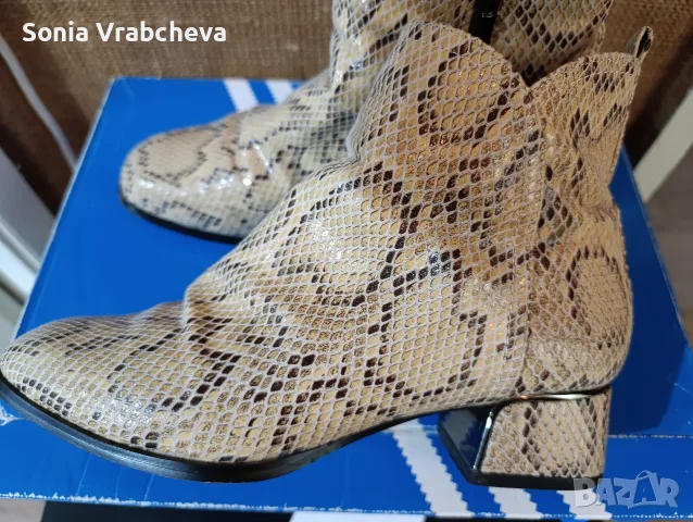 Ежедневни боти със змийски акцент