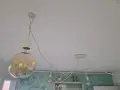 Полилей тип "Паяк", снимка 1