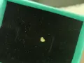 Обеца за нос със. сърце, снимка 5