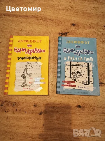 Дневникът на Един Дръндьо 