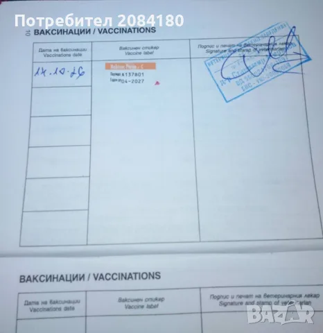 Продавам малко кученце, снимка 6 - Кангал - 56554307