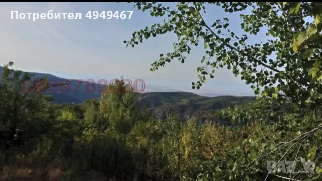 продавам парцел с бунгало тип виличка , снимка 6 - Апартаменти - 56531273