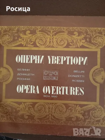 Грамофонни плочи, снимка 11 - Грамофонни плочи - 56070922