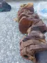 Колянов вал Газ24 чисто нов , снимка 6