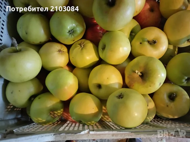Ябълки и попски круши 