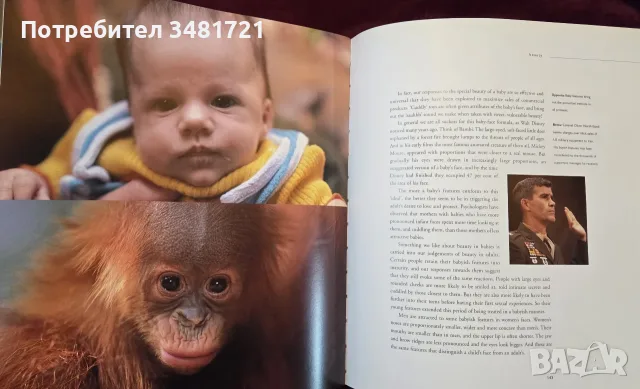 The Human Face., снимка 13 - Изкуство, музика, кино и фотография - 56715974