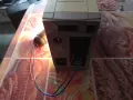 UPS APC Back UPS 500-300W, снимка 2