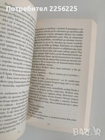 Синът на вещицата, снимка 4 - Художествена литература - 56725532